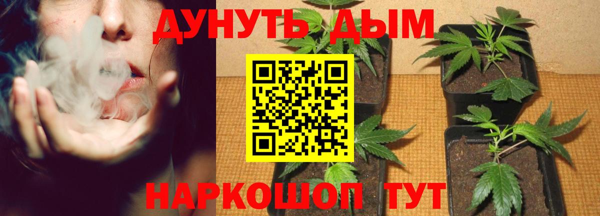 Конопля индика  Марихуана Amnesia  Ухта  Вход с VPN  Бошки Шишки White Widow  Марихуана индика 